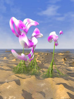 3D Wallpapers 0047